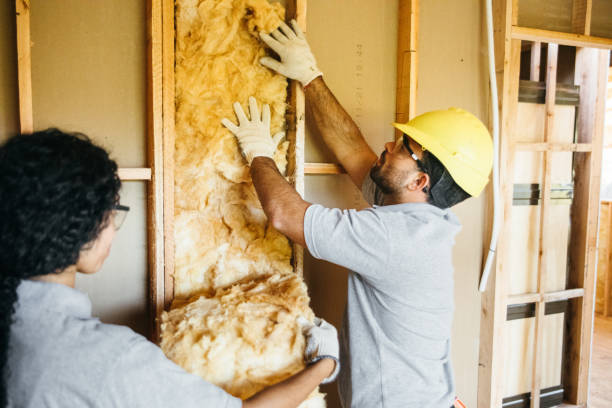 Best Spray Foam Insulation  in Bard College, NY