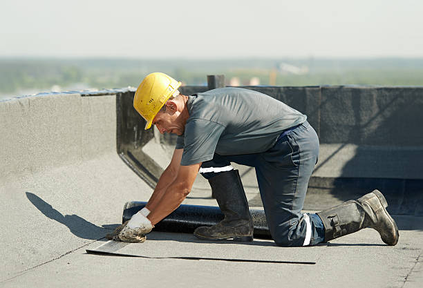 Best Insulation Contractors for Homes  in Bard College, NY