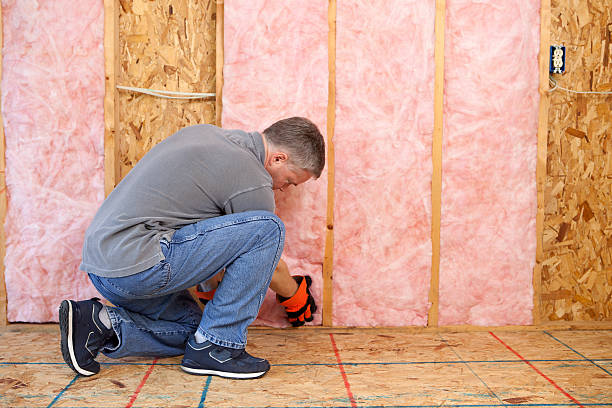 Best Insulation Inspection Services  in Bard College, NY